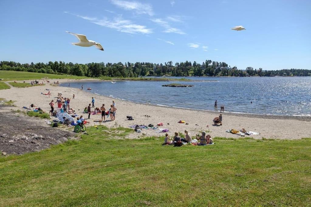Scandpoint Apartment Fornebu Near Sea Front With Outdoor Walk! Stabekk Eksteriør billede