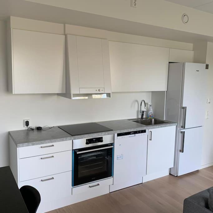 Scandpoint Apartment Fornebu Near Sea Front With Outdoor Walk! Stabekk Eksteriør billede